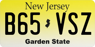 NJ license plate B65VSZ