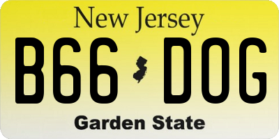 NJ license plate B66DOG