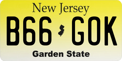 NJ license plate B66GOK