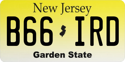 NJ license plate B66IRD