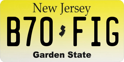 NJ license plate B70FIG