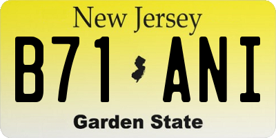 NJ license plate B71ANI