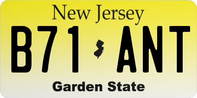 NJ license plate B71ANT