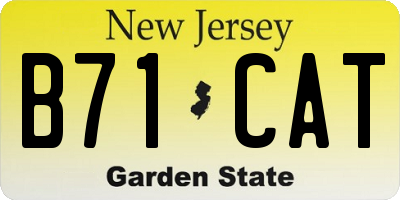 NJ license plate B71CAT