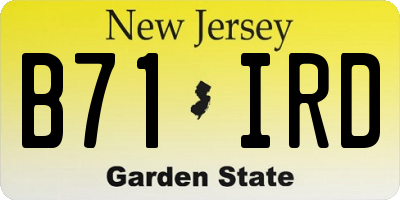 NJ license plate B71IRD