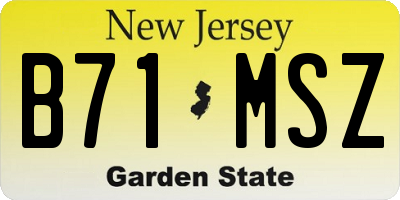 NJ license plate B71MSZ