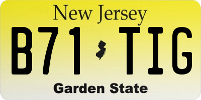 NJ license plate B71TIG