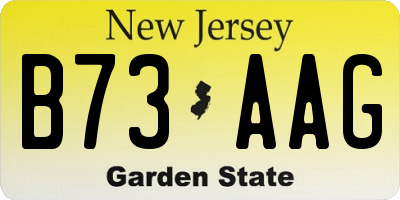 NJ license plate B73AAG