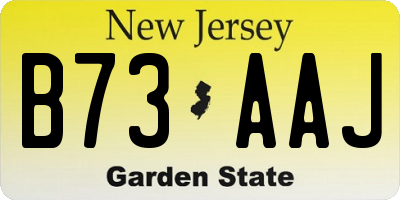 NJ license plate B73AAJ