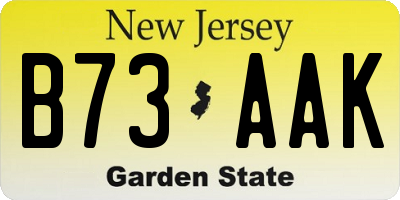 NJ license plate B73AAK