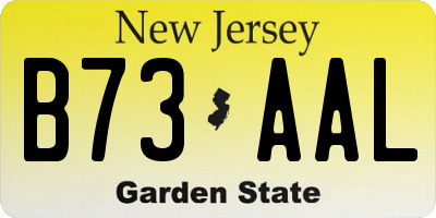 NJ license plate B73AAL