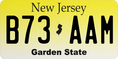 NJ license plate B73AAM