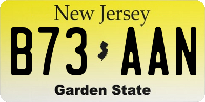 NJ license plate B73AAN
