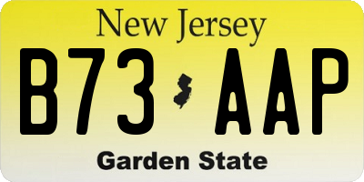 NJ license plate B73AAP
