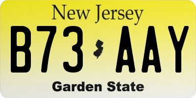NJ license plate B73AAY
