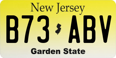NJ license plate B73ABV