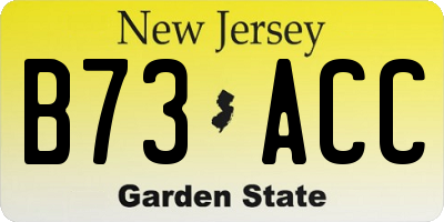 NJ license plate B73ACC