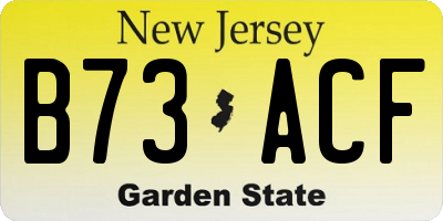 NJ license plate B73ACF