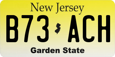 NJ license plate B73ACH