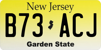 NJ license plate B73ACJ