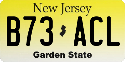 NJ license plate B73ACL