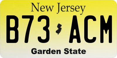 NJ license plate B73ACM