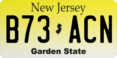 NJ license plate B73ACN