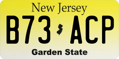 NJ license plate B73ACP