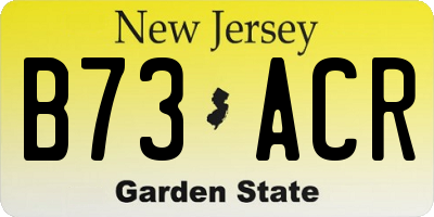 NJ license plate B73ACR