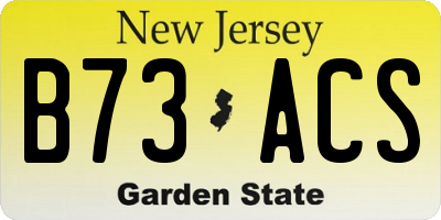 NJ license plate B73ACS