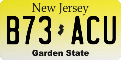 NJ license plate B73ACU