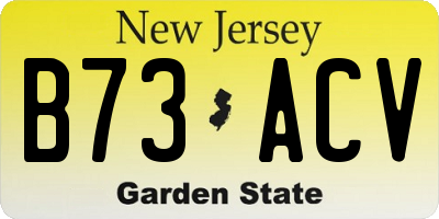 NJ license plate B73ACV