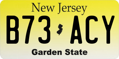 NJ license plate B73ACY