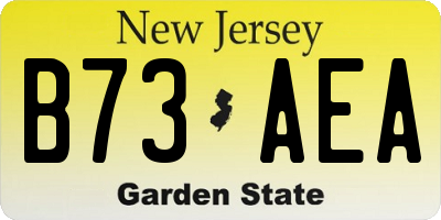 NJ license plate B73AEA