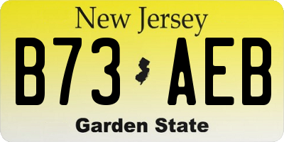 NJ license plate B73AEB