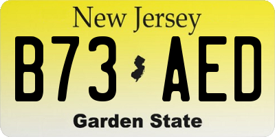 NJ license plate B73AED