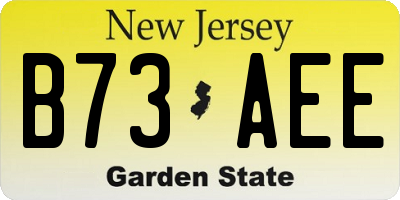 NJ license plate B73AEE