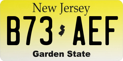 NJ license plate B73AEF
