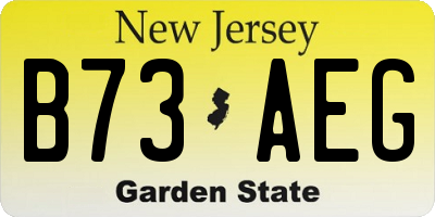 NJ license plate B73AEG