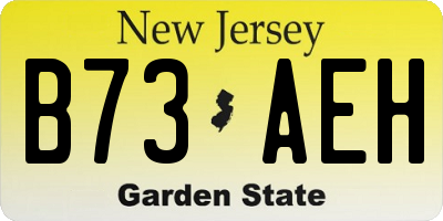 NJ license plate B73AEH