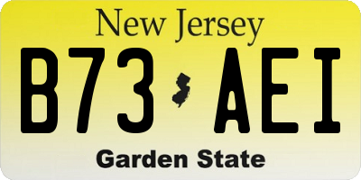 NJ license plate B73AEI