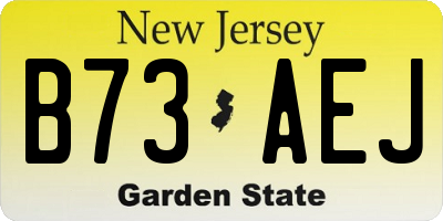 NJ license plate B73AEJ