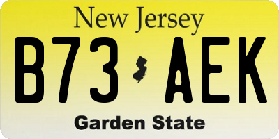 NJ license plate B73AEK