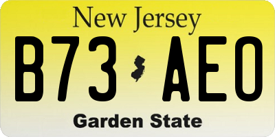 NJ license plate B73AEO