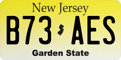NJ license plate B73AES
