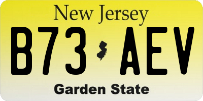 NJ license plate B73AEV