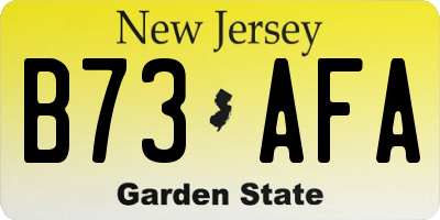 NJ license plate B73AFA
