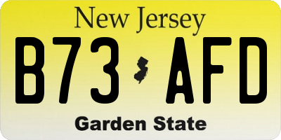 NJ license plate B73AFD