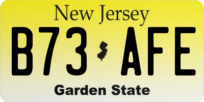 NJ license plate B73AFE
