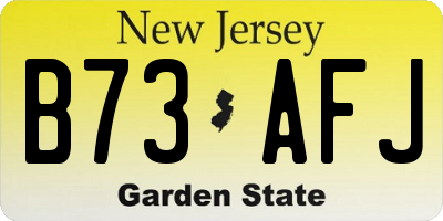 NJ license plate B73AFJ